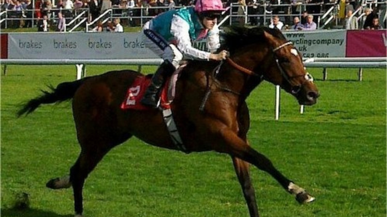 Juddmonte Unveils 2024 Roster With Frankel's Record Fee Image 1