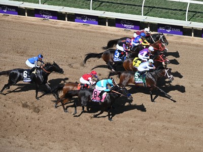 Top Thoroughbred Horses from Breeders' Cup 2021 To Be ... Image 1