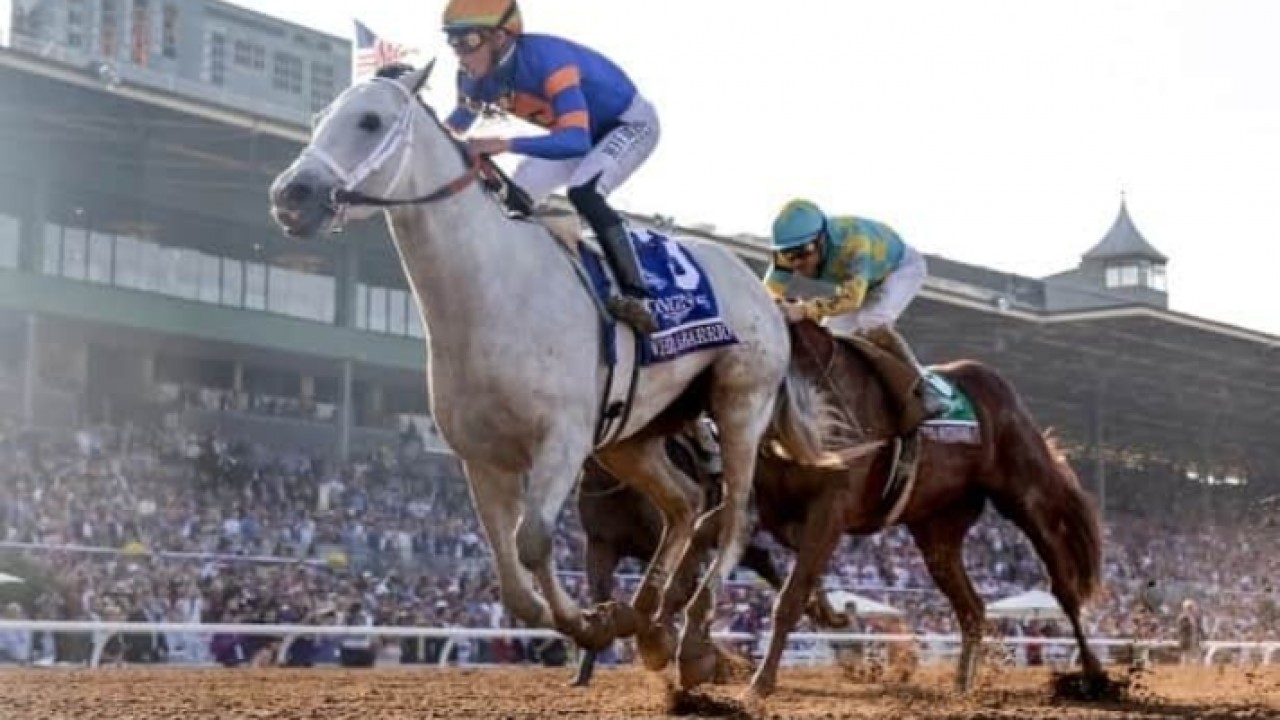 The Most Comprehensive Breeders Cup 2023 Review Image 1