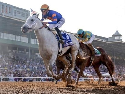 The Most Comprehensive Breeders Cup 2023 Review Image 1