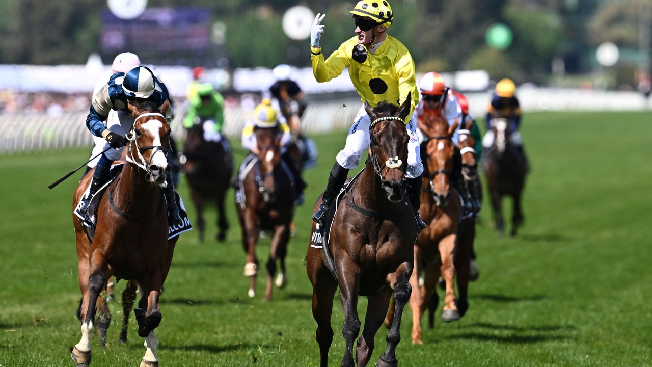 Without A Fight Wins Melbourne Cup Thanks To Jockey's Gamble Image 1