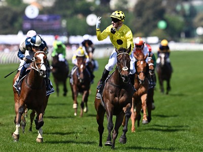 Without A Fight Wins Melbourne Cup Thanks To Jockey's Gamble Image 1