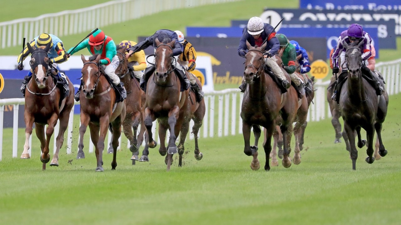 Joseph O’Brien bidding to stay ahead of the curve in the ... Image 1
