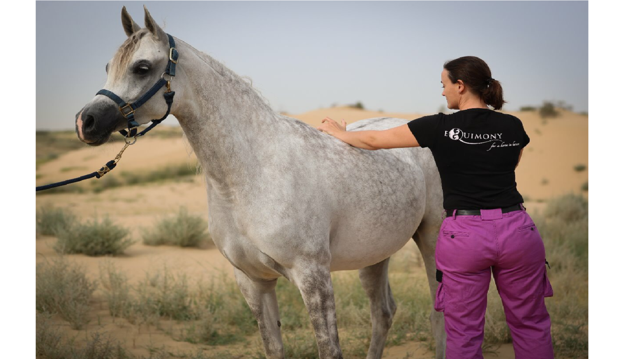 Sewell Shares The Secret To Having Healthy And Happy Horses Image 1