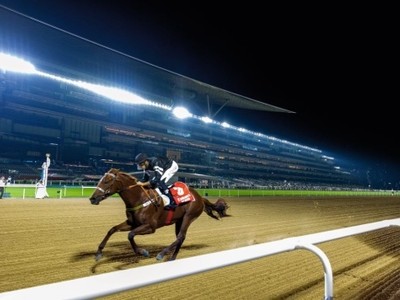 Impressive Debut: El Nasseeb Shines At The Racecourse Image 1