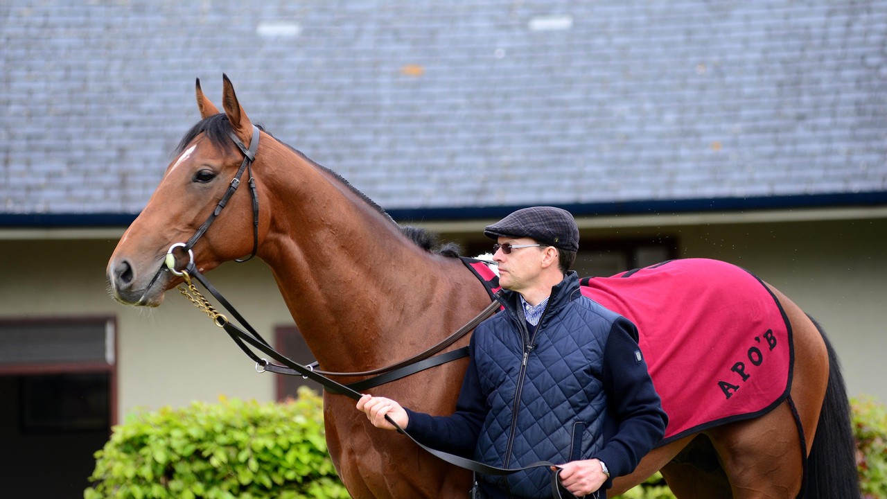 Aidan O'Brien Unleashes Major Weapon In Attempt To Claim ... Image 1