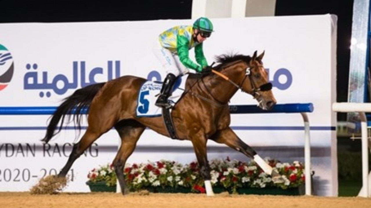 Dubai Creek Mile: A Thrilling Night Of Horse Racing Image 1