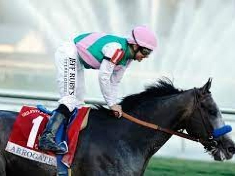 Counting Down To 25 - Arrogate Wins The Twenty Second ... Image 2