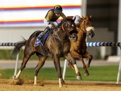 Speedsters Take Centre Stage At Sharjah As Tuz Takes The ... Image 1