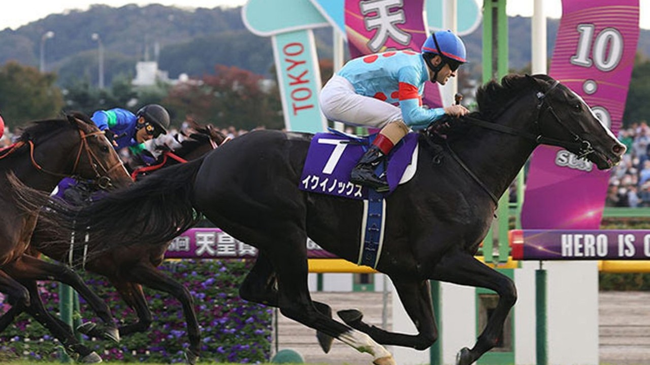 Equinox Triumphs In Exciting Japan Cup Win Image 1
