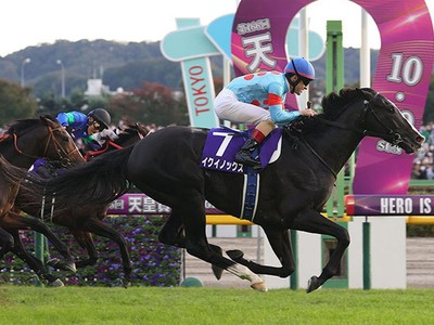 Equinox Triumphs In Exciting Japan Cup Win Image 1