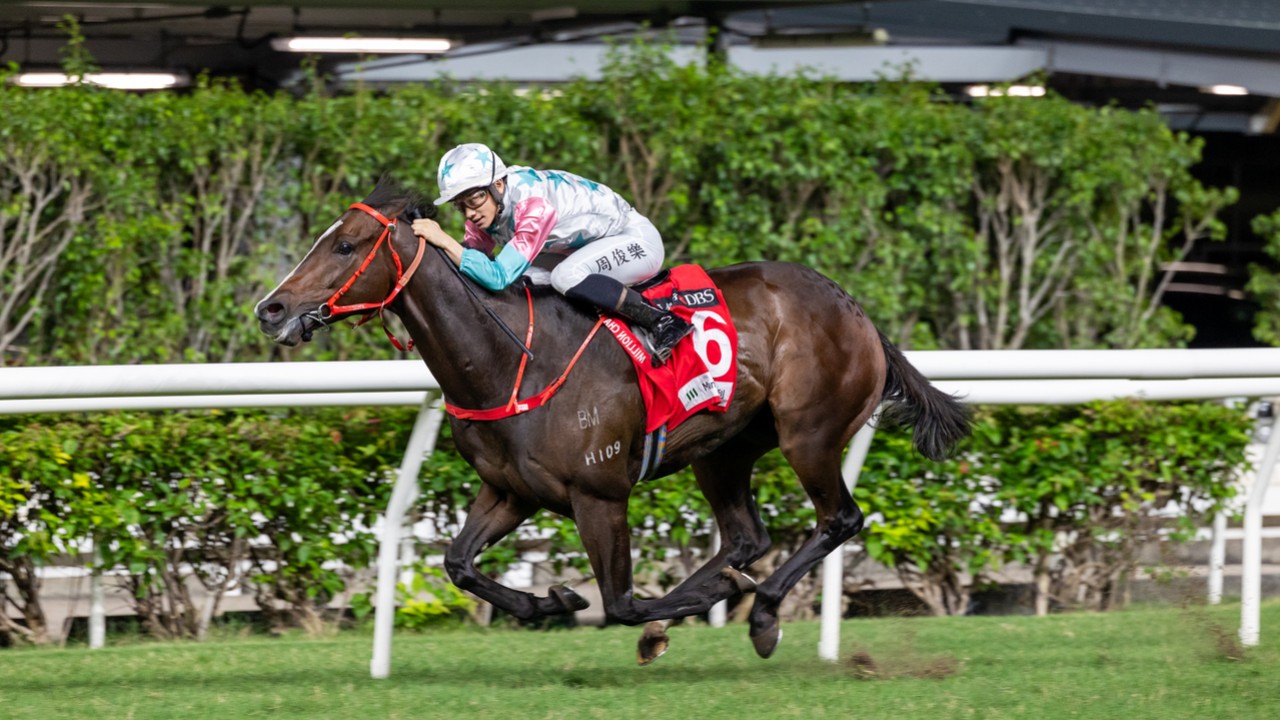 Chill Chibi Dazzles In Happy Valley, Enters Derby ... Image 1