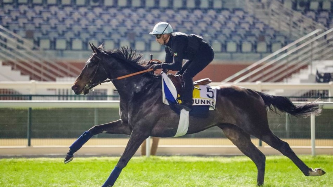 Fabre Returns To LONGINES HKIR For More Success Image 1