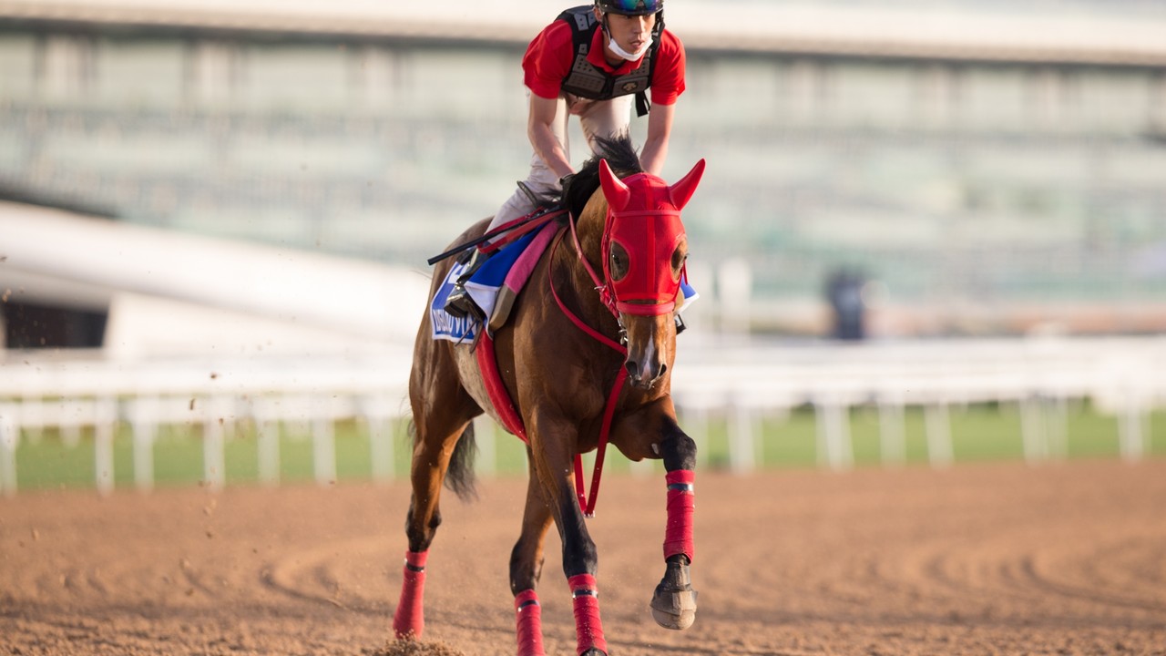 Preview: Midnight Sands Hopes To Make The Most Of Dubai ... Image 2