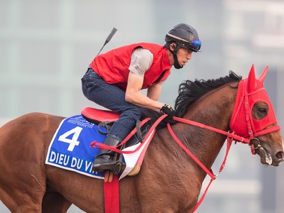 Preview: Midnight Sands Hopes To Make The Most Of Dubai ... Image 1