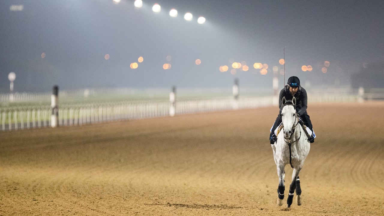 Preview: Midnight Sands Hopes To Make The Most Of Dubai ... Image 8