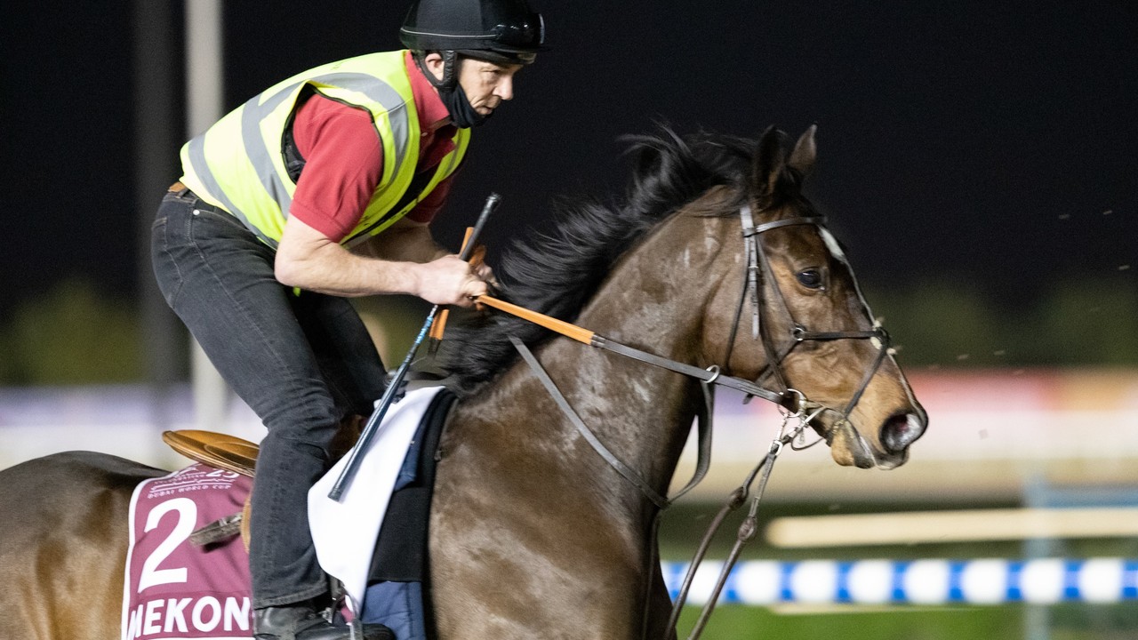 Preview: Midnight Sands Hopes To Make The Most Of Dubai ... Image 3