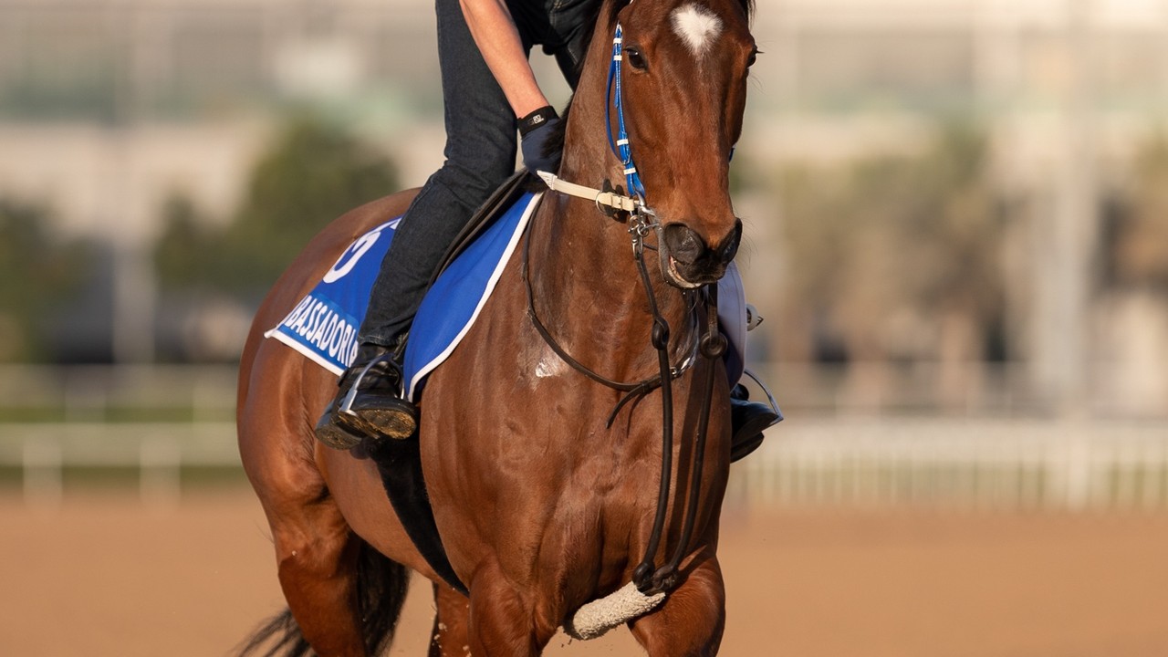 Preview: Midnight Sands Hopes To Make The Most Of Dubai ... Image 4