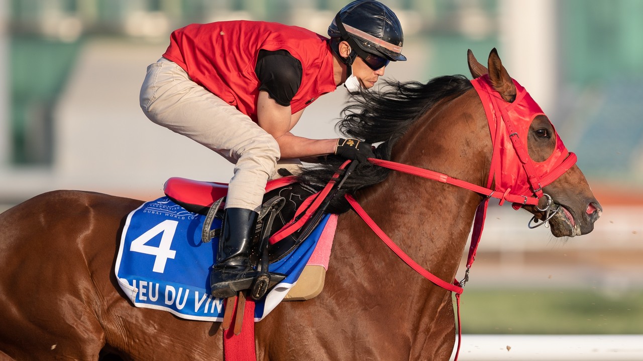 Preview: Midnight Sands Hopes To Make The Most Of Dubai ... Image 5
