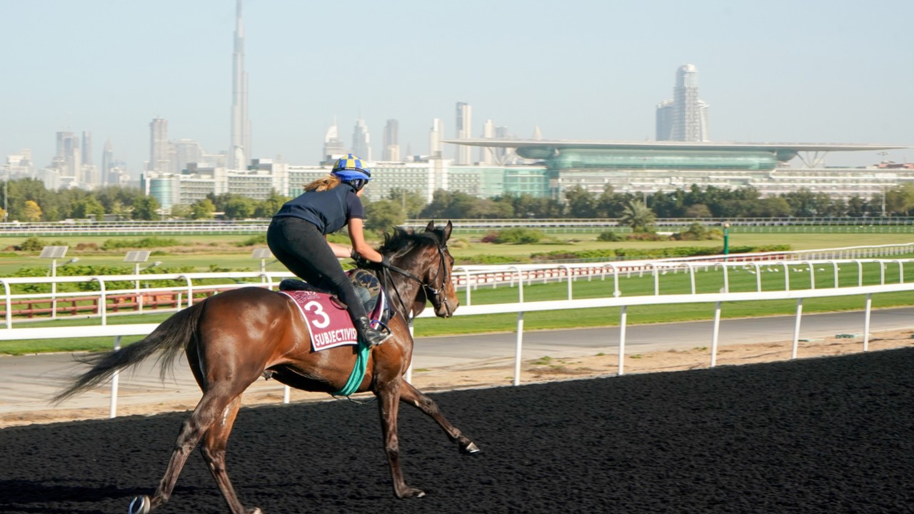Preview: Midnight Sands Hopes To Make The Most Of Dubai ... Image 6