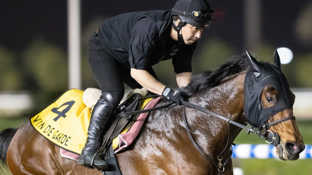 Preview: Battle Of The Lords In The Gr.1 Dubai Turf Image 1