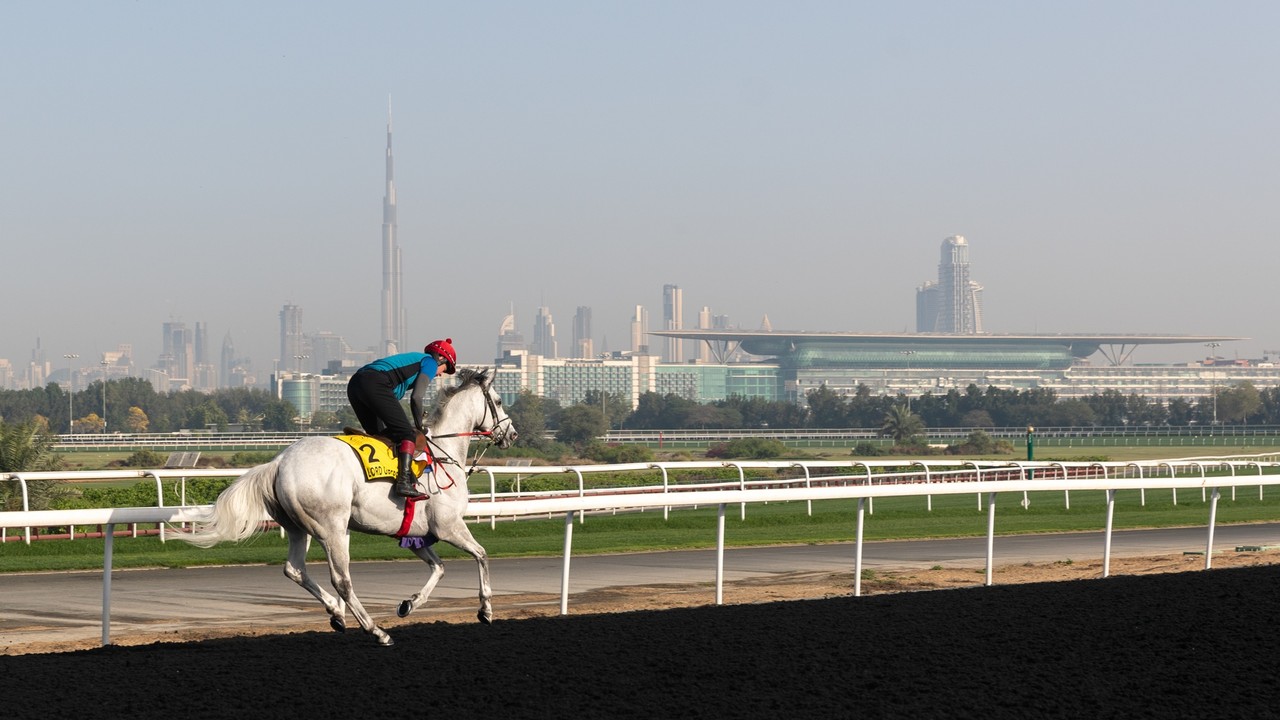 Preview: Battle Of The Lords In The Gr.1 Dubai Turf Image 4