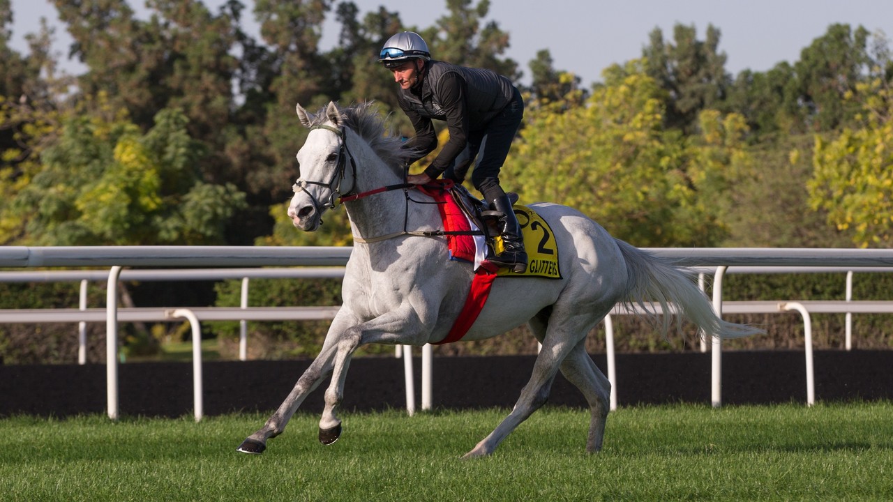 Preview: Battle Of The Lords In The Gr.1 Dubai Turf Image 2
