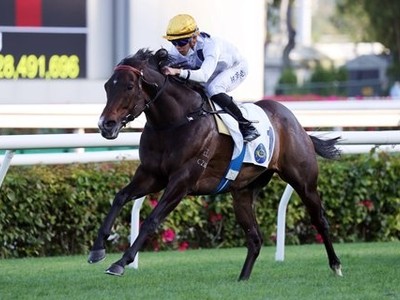 Golden Sixty's Final Flight: A Hong Kong Mile Farewell Image 1