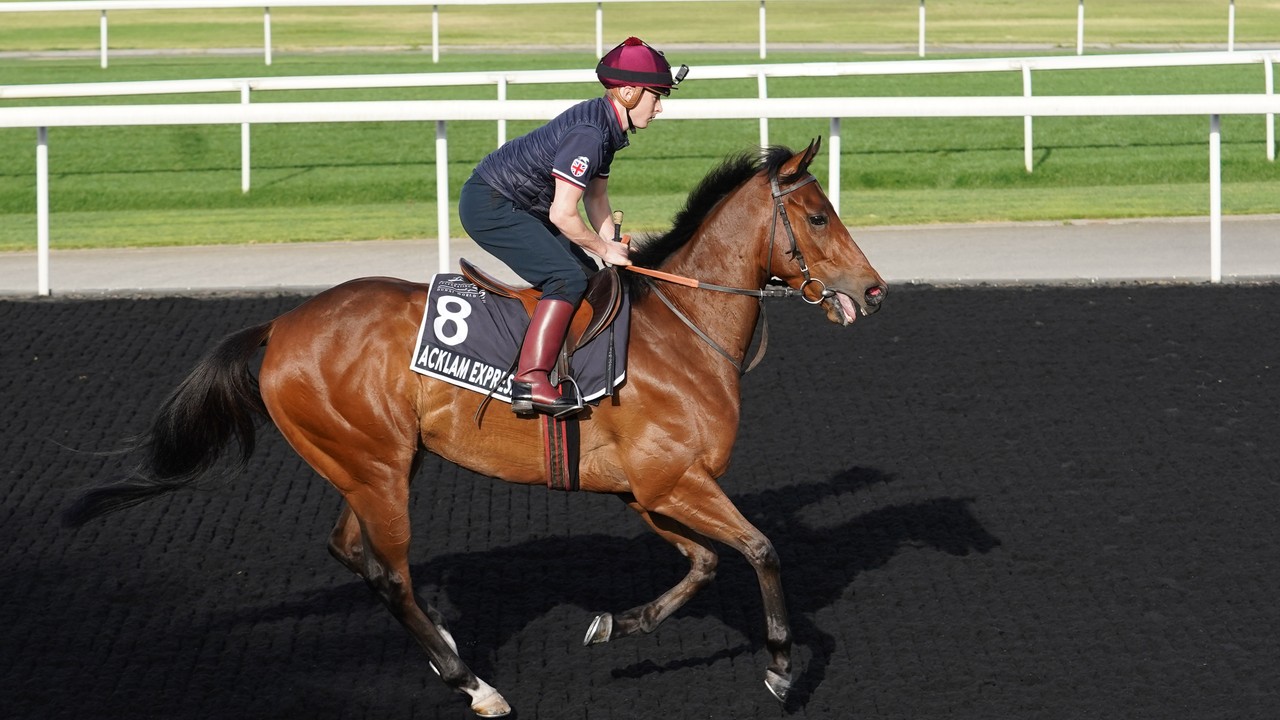 Preview: Equilateral, Khadem and Godolphin’s Final Song ... Image 2