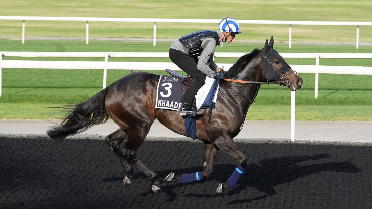 Preview: Equilateral, Khadem and Godolphin’s Final Song ... Image 3