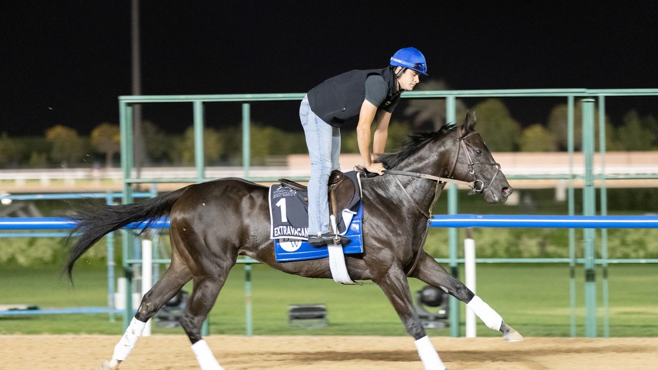 Preview: Equilateral, Khadem and Godolphin’s Final Song ... Image 1