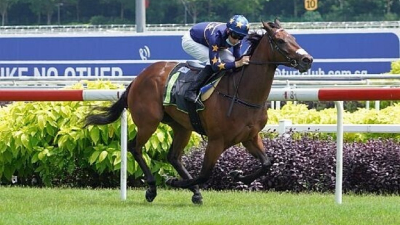 Lim's Kosciuszko Returns To Compete In Hong Kong Mile Image 1