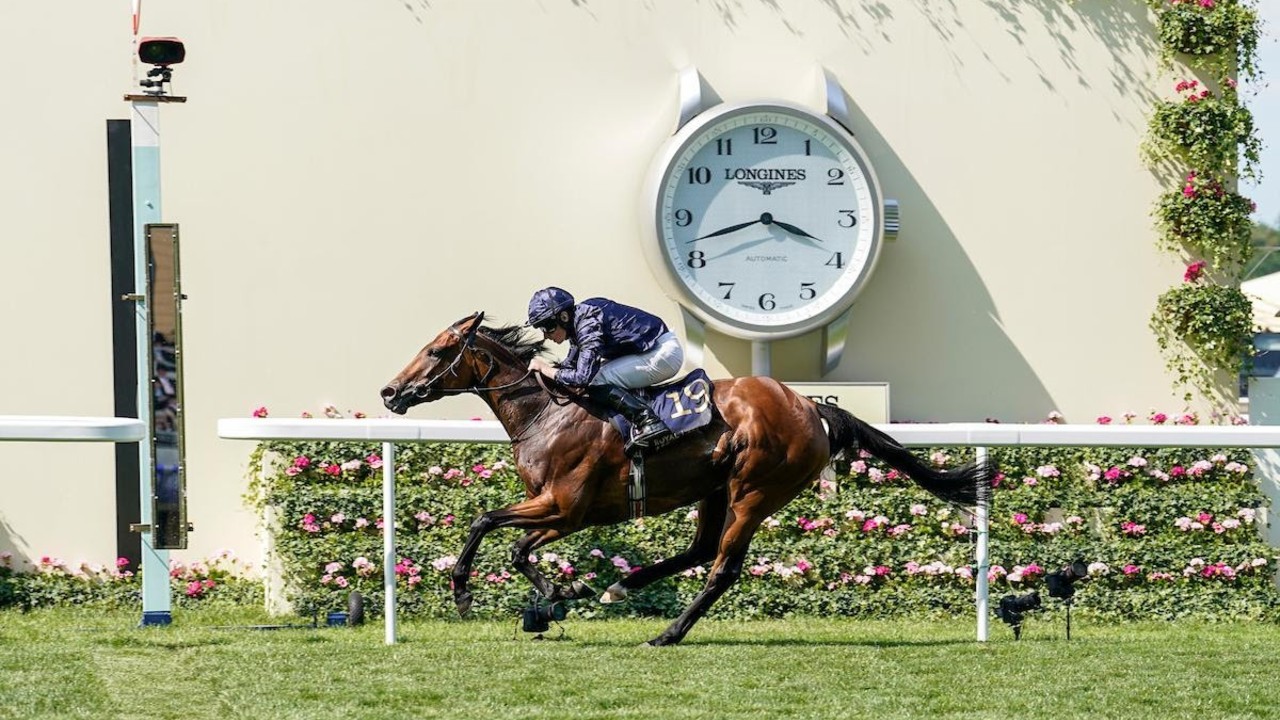 Aidan O'Brien Gears Up For LONGINES HKIR Battle Image 1