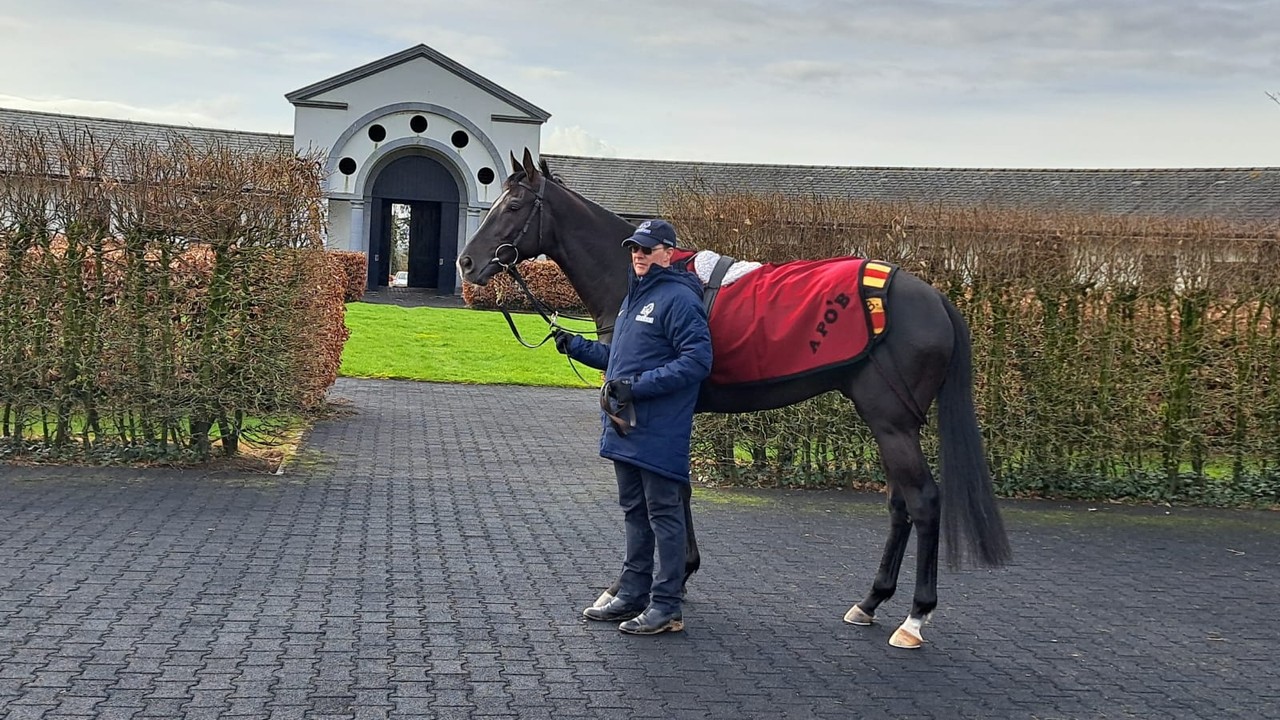 O'Brien Confident In Sunday's LONGINES HKIR Team Performance Image 1