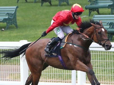 Luxembourg Leads The Way In LONGINES HKIR Cantering Session Image 1