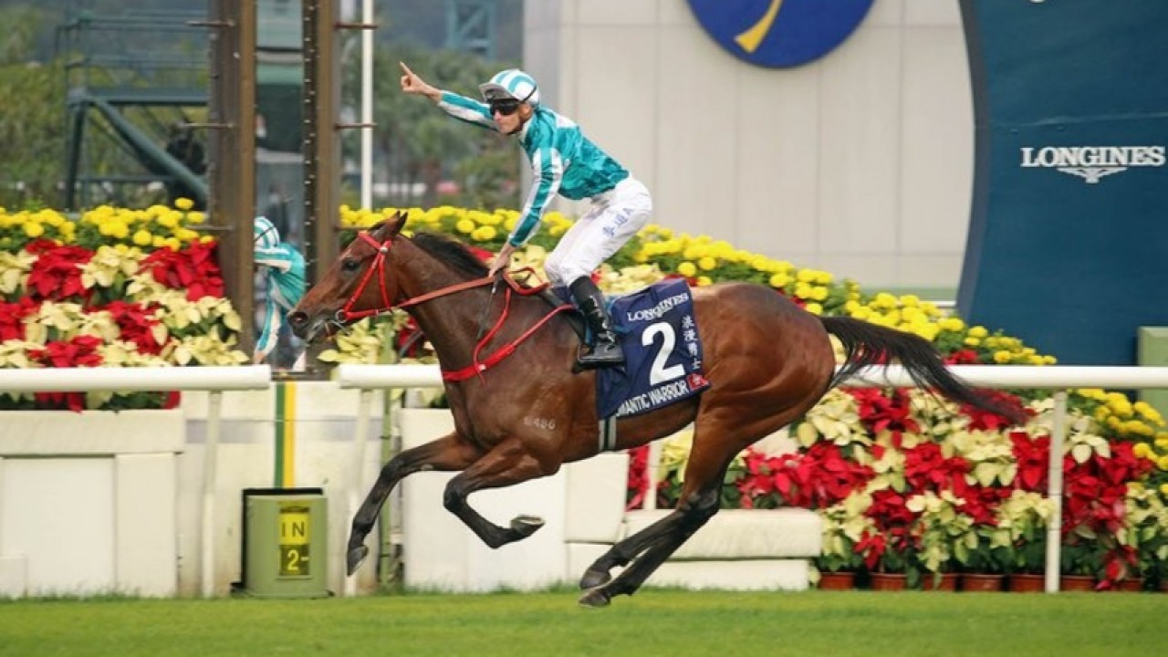 Romantic Warrior's LONGINES Hong Kong Cup Draw Pleases Shum Image 1