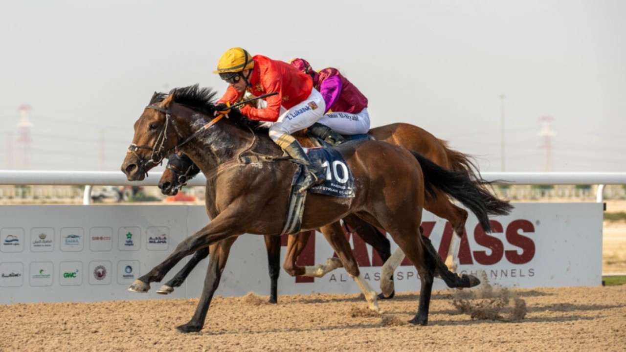 Alouqa Maintains Excellent Performance &amp; Wins Ras Mlaiji Cup Image 1