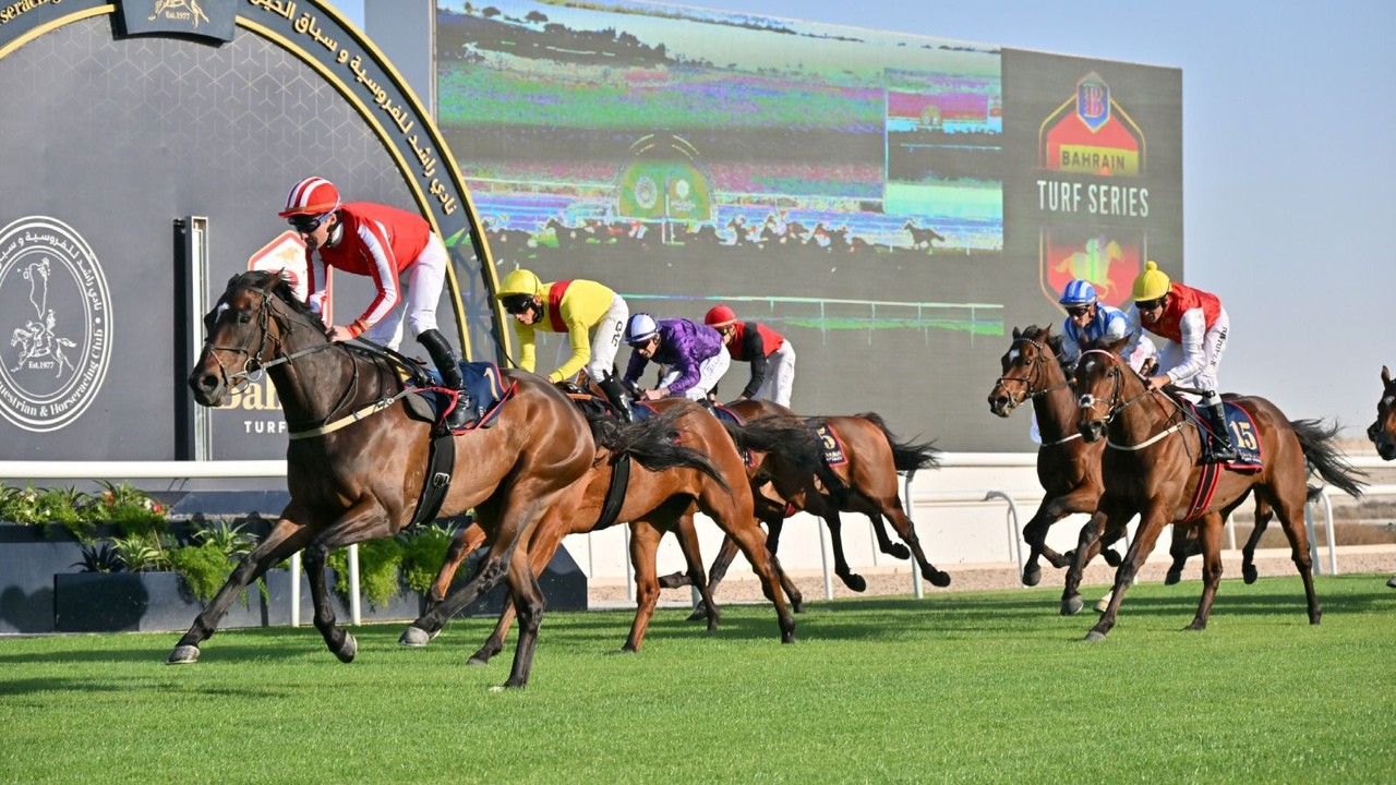 Baker Praises Lucander As Bahrain Turf Series Delivers Two ... Image 1