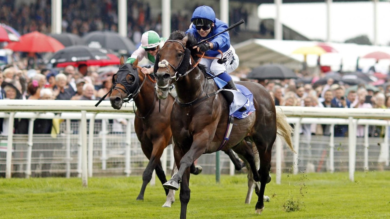 Preview: Real World Aims To Reclaim Title In Gr.2 Zabeel ... Image 1