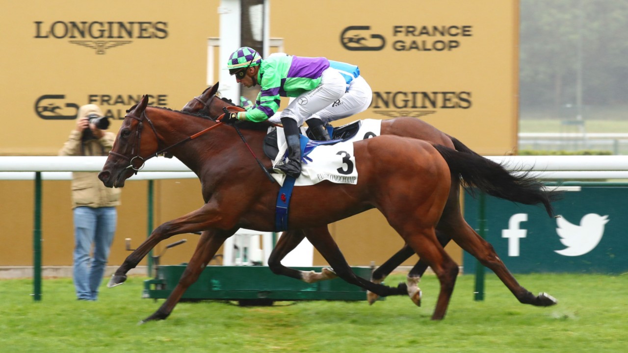 Meet The Four Exceptional Horses Of Francis Graffard Image 2