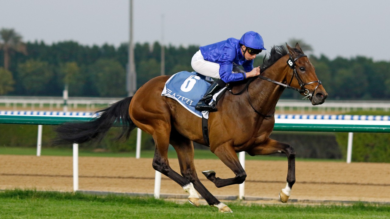 Review: Local Dynasty Impresses at Meydan Image 1