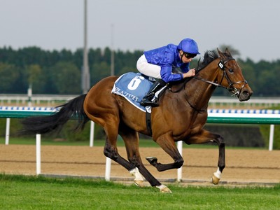 Review: Local Dynasty Impresses at Meydan Image 1