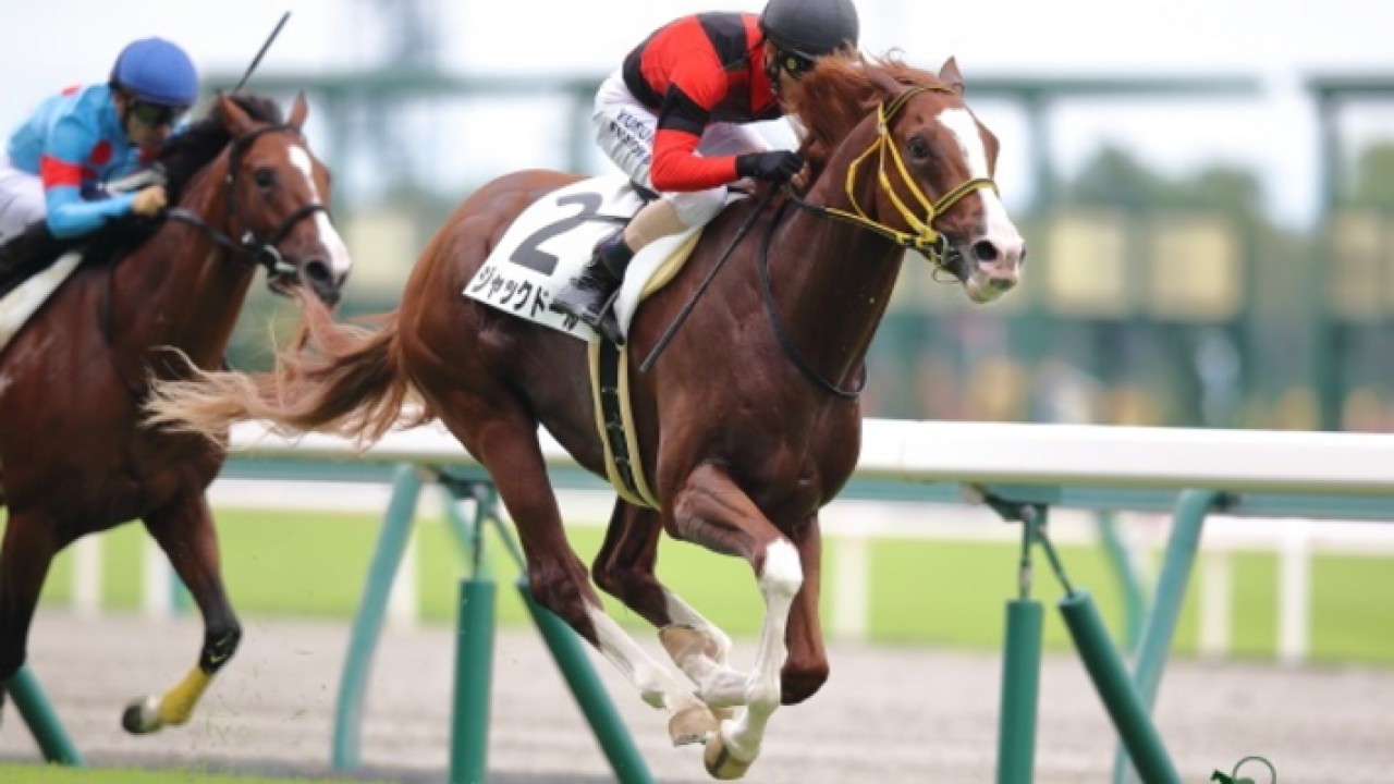 Jack D'Or, Japanese Gr.1 Winner, Unveils Season Plans Image 1