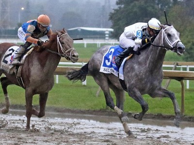 Saudi Crown Prepares For Pegasus World Cup Image 1