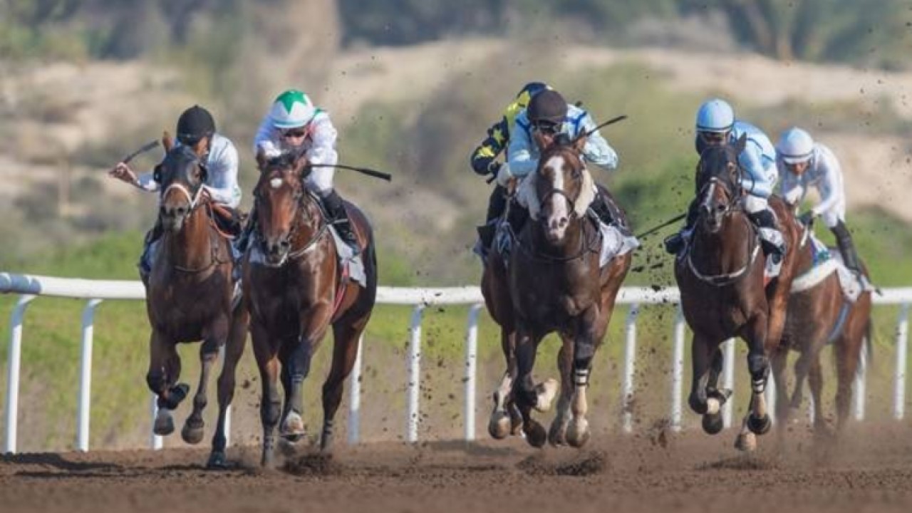 Atletico El Culano Impresses During Win At Meydan Racecourse Image 1