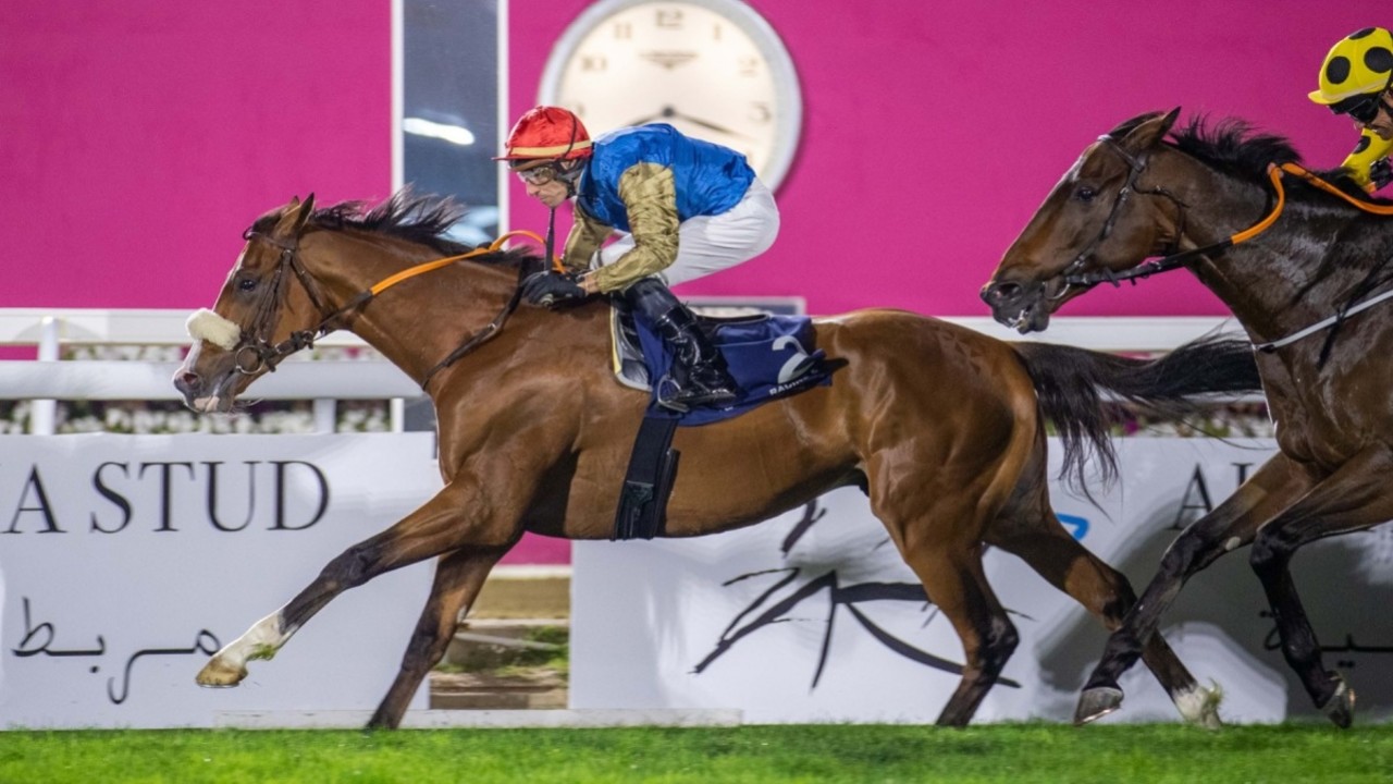 Review: Eifrit Takes Home the Gr.2 HH Sheikh Abdullah Bin ... Image 1