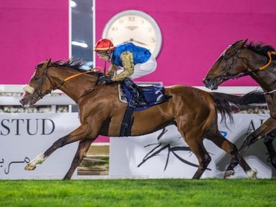 Review: Eifrit Takes Home the Gr.2 HH Sheikh Abdullah Bin ... Image 1