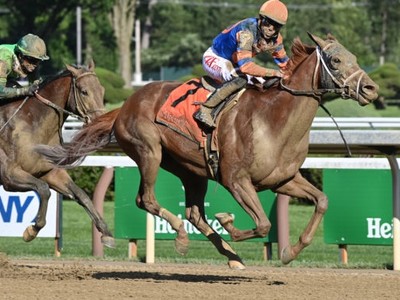 Preview: Dynamic One Joins US$3M Pegasus World Cup Image 1