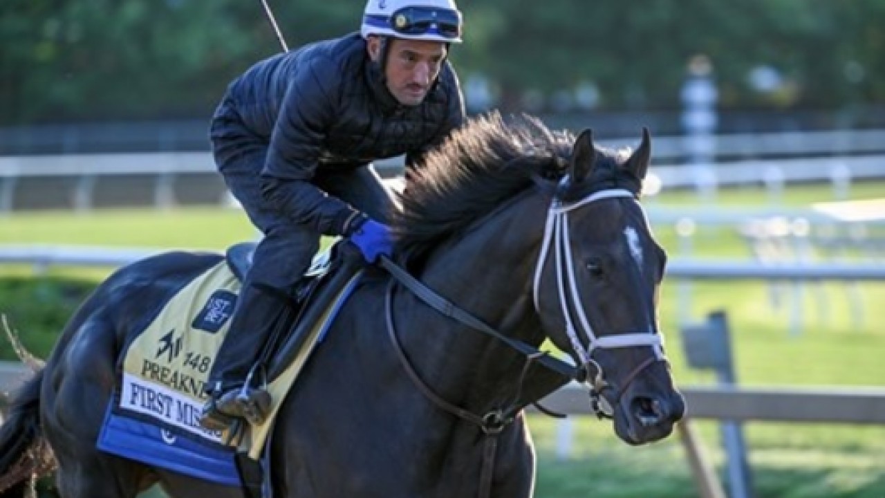 Pegasus World Cup Fields Taking Shape Early Image 1
