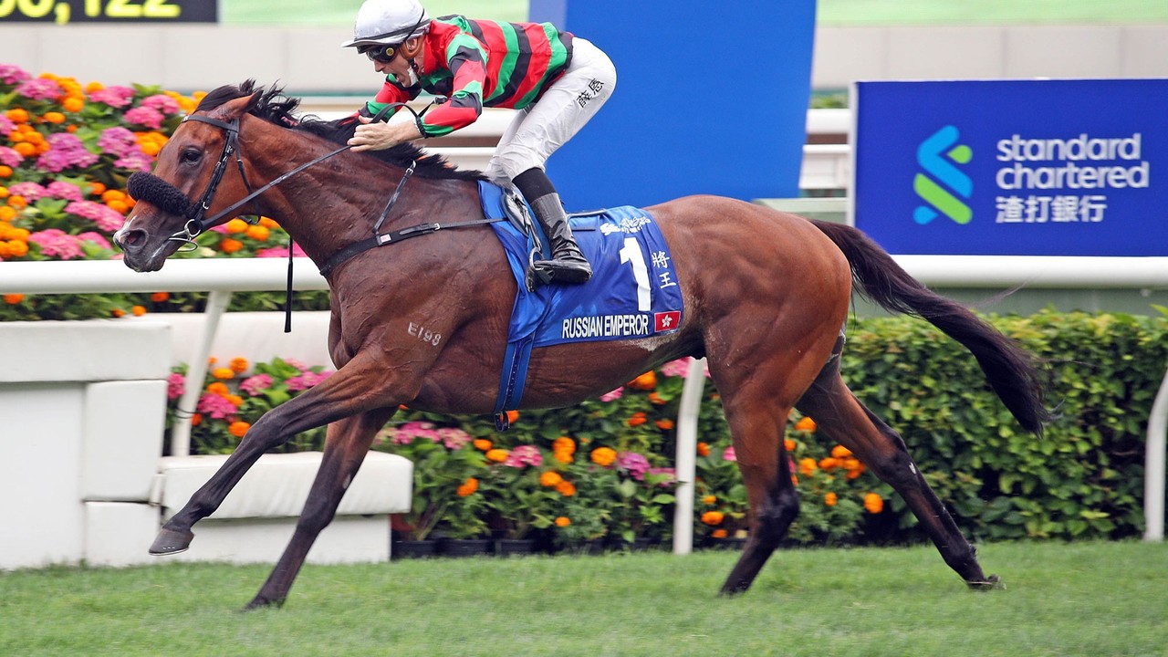 Hong Kong Horses Head To Qatar Trophy Image 1